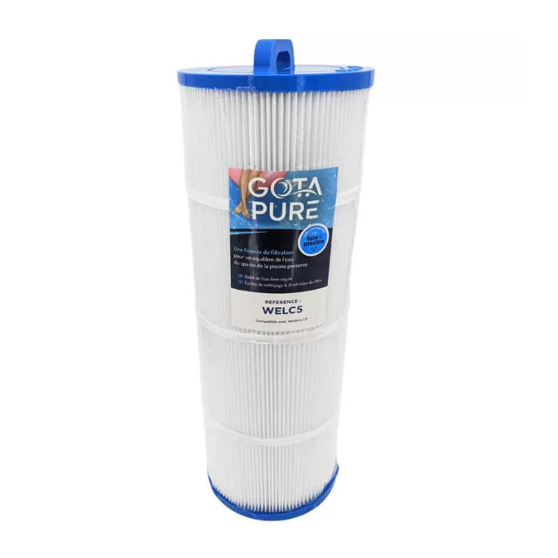 Cartouche piscine compatible weltico c5