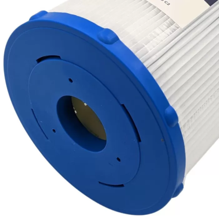 Cartouche piscine gota pure welc5