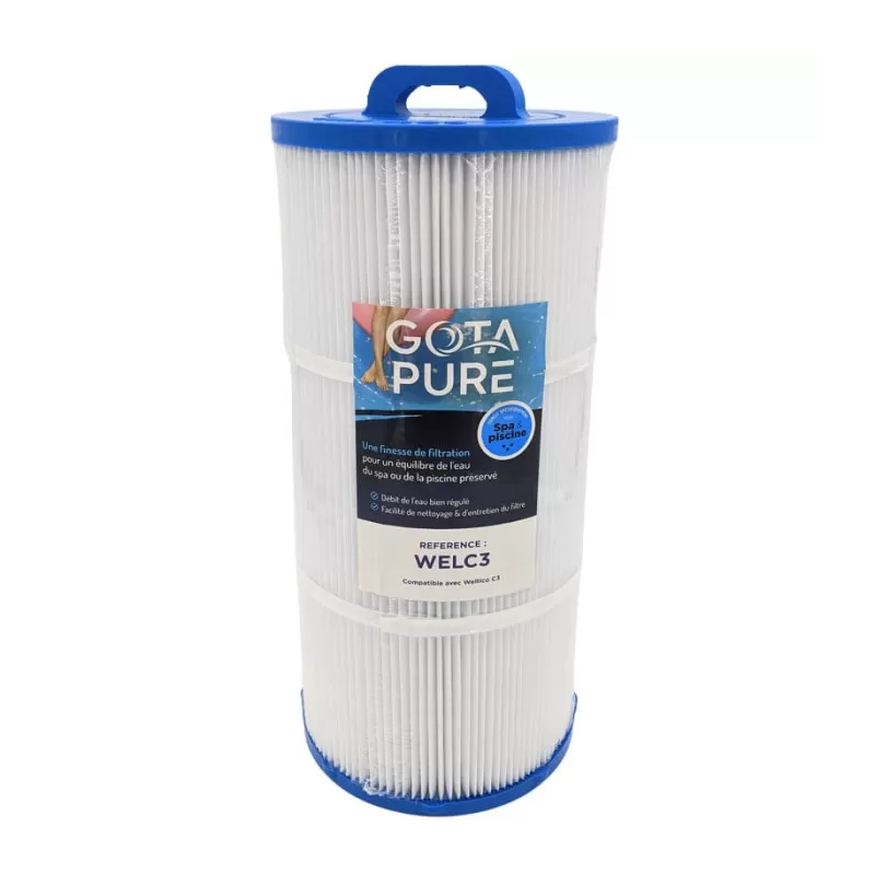 Filtre Piscine WELC3 compatible Weltico