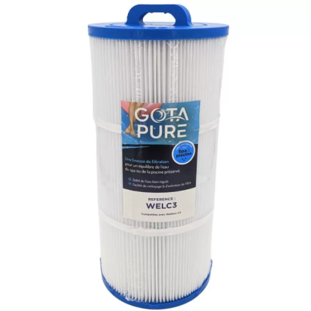 Filtre Piscine WELC3 compatible Weltico