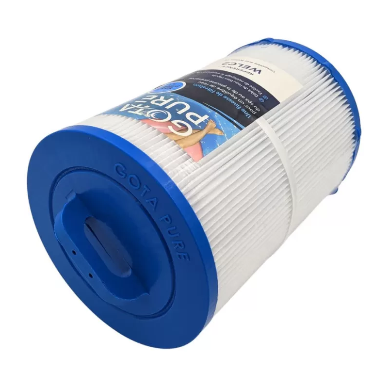 Cartouche Piscine WELC2 compatible Weltico