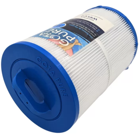 Cartouche Piscine WELC2 compatible Weltico