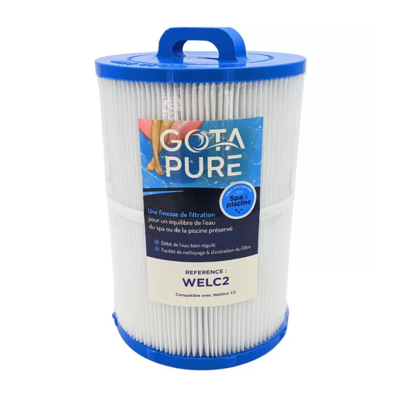 Filtre Piscine WELC2 compatible Weltico