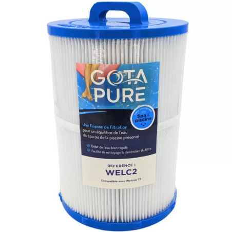 Filtre Piscine WELC2 compatible Weltico