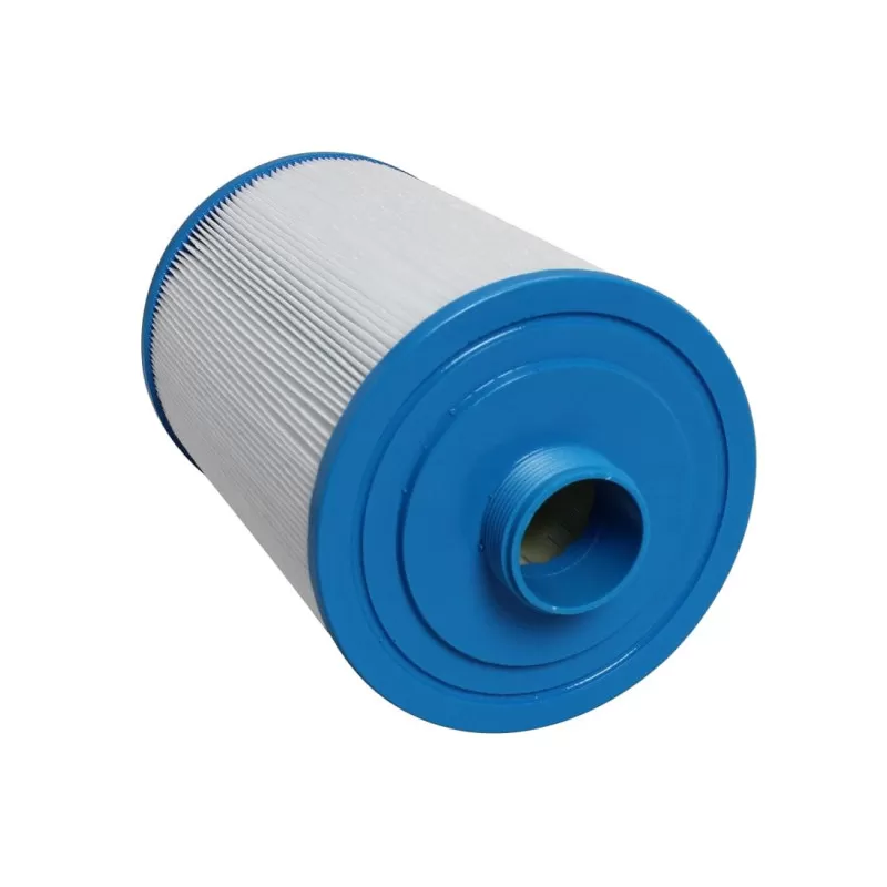 Filtre Spa Gota Pure WE25 compatible Wellis