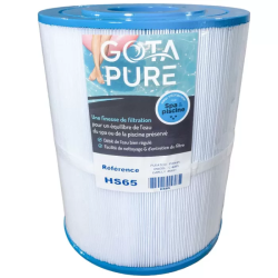 Filtre Spa HS65 compatible Hotspring Gota Pure
