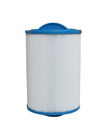 Cartouche Spa Gota Pure LOT-LR100