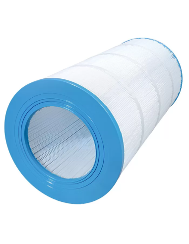 Cartouche Piscine Gota Pure WAT150