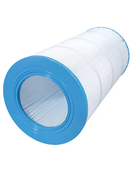 Cartouche Piscine Gota Pure WAT150