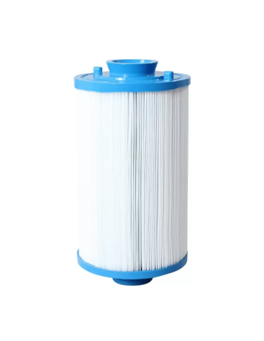 Filtre Spa Gota Pure CH24