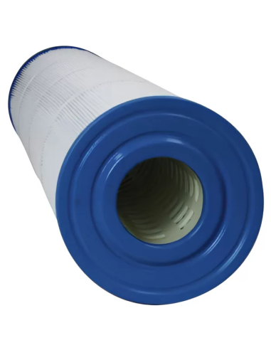 Cartouche Piscine Gota Pure PE200