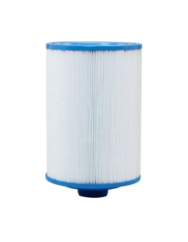 Filtre Spa Gota Pure MS50