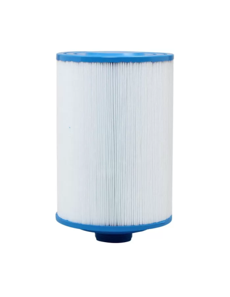 Filtre Spa Gota Pure MS50