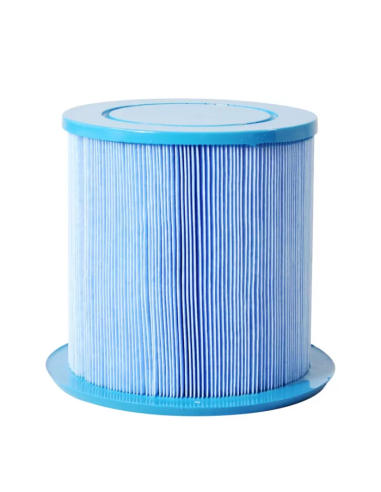 Filtre spa Gota Pure JP13M Jacuzzi
