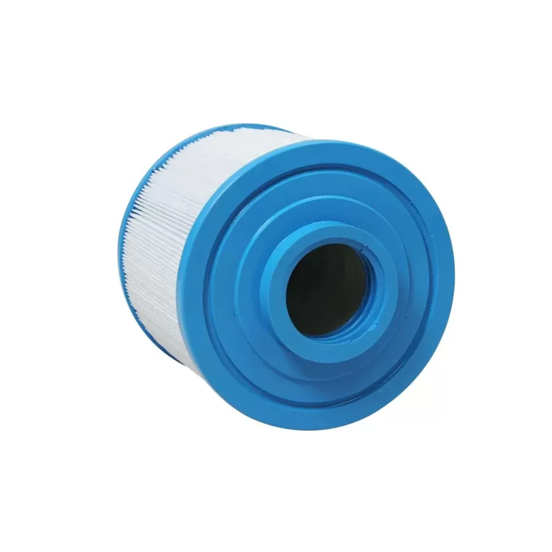 Cartouche spa Gota Pure AT12