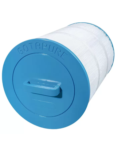 Cartouche Piscine Gota Pure JB80