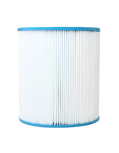 Cartouche Piscine Gota Pure AT50