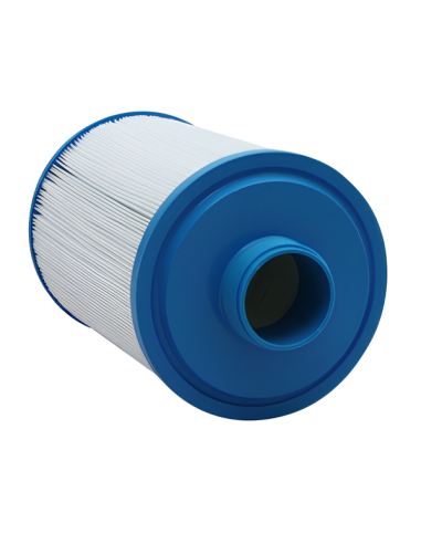 Cartouche spa Gota Pure CH20