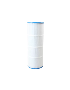 Cartouche piscine Gota Pure HW550