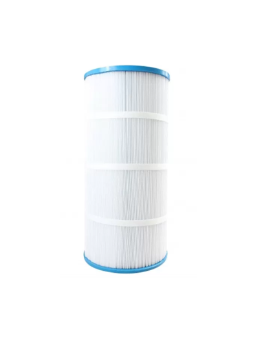 Cartouche piscine Gota Pure PT150