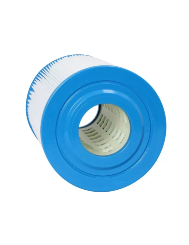 Cartouche Piscine HW250 Gota Pure