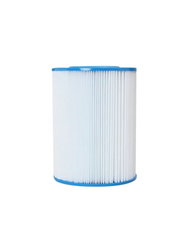 Cartouche Piscine HW250