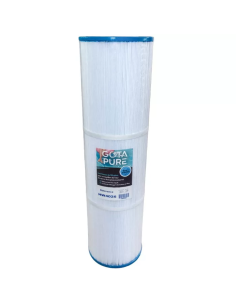 Cartouche Piscine Gota Pure HW4025