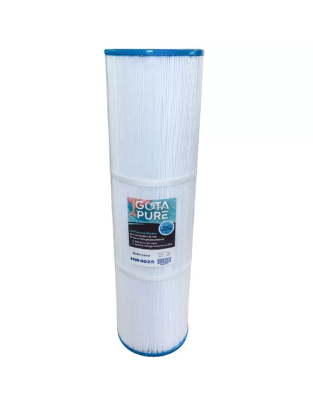 Cartouche Piscine Gota Pure HW4025