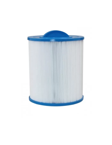 Cartouche Piscine Gota Pure HW400