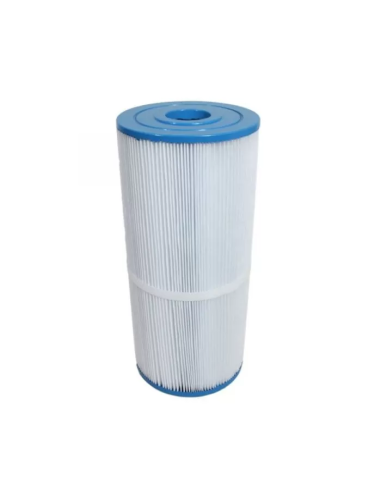 Cartouche piscine Gota Pure HW3025