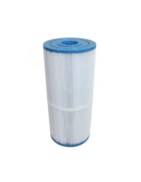 Cartouche piscine Gota Pure HW3025