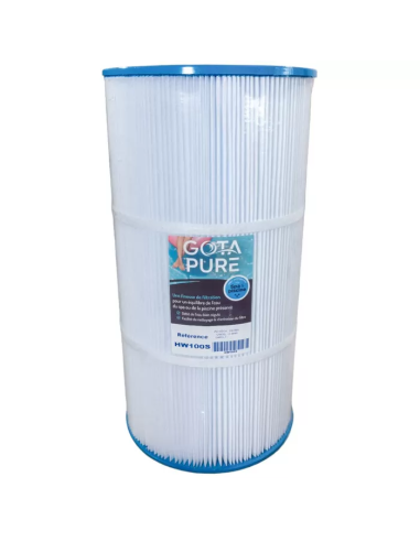 Cartouche piscine Gota Pure HW100S