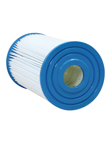 Filtre Gota Pure IN20 Intex