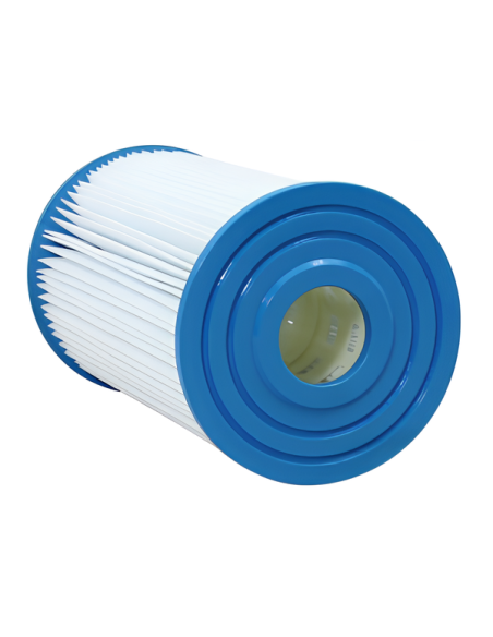 Filtre Gota Pure IN20 Intex