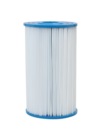 Filtre spa Gota Pure IN20