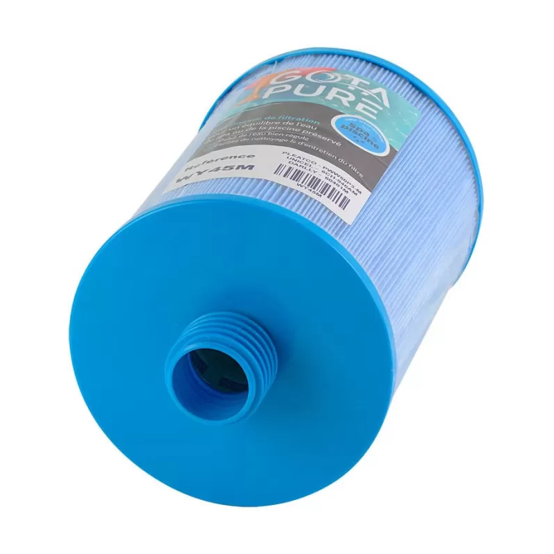 Cartouche spa Gota Pure WY45M