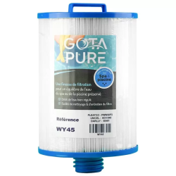 Filtre spa Gota Pure WY45