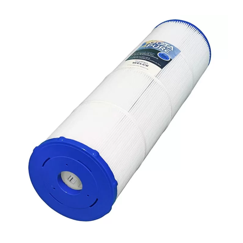 Cartouche piscine gota pure welc6